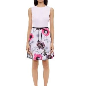Ted Baker | Seedda Neon Poppy Crepe Dress